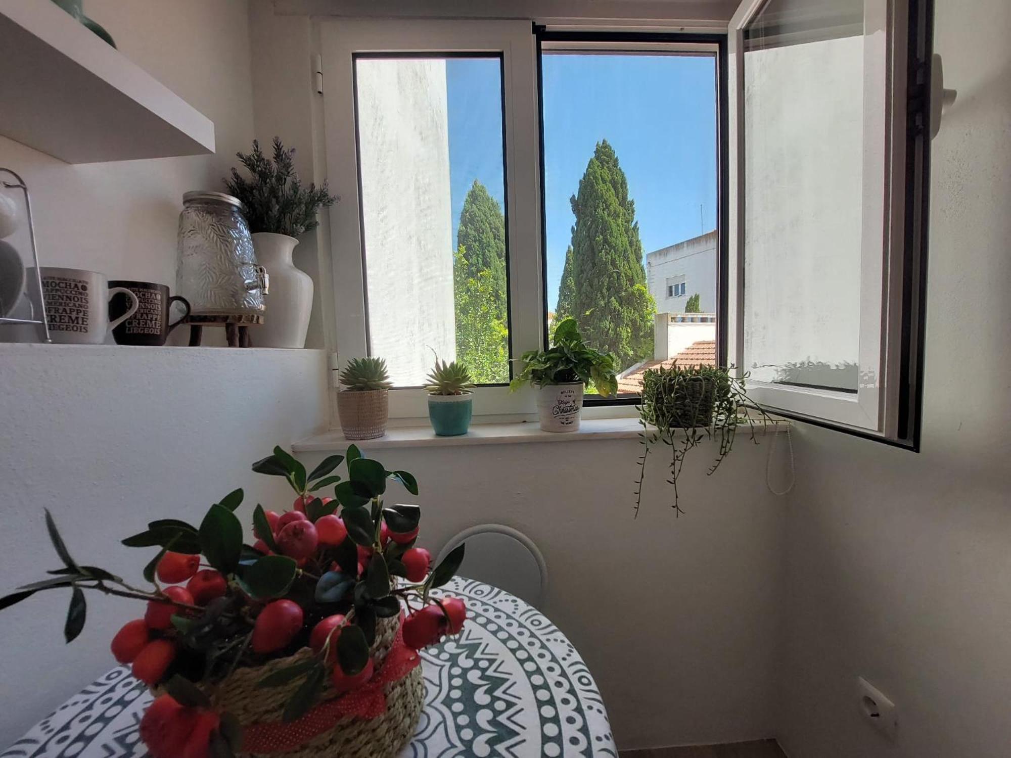 Cantinho Do Ceu Apartment Alcácer do Sal Екстериор снимка